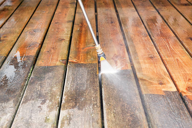 Best Dumpster Area Cleaning  in Princeton, NJ